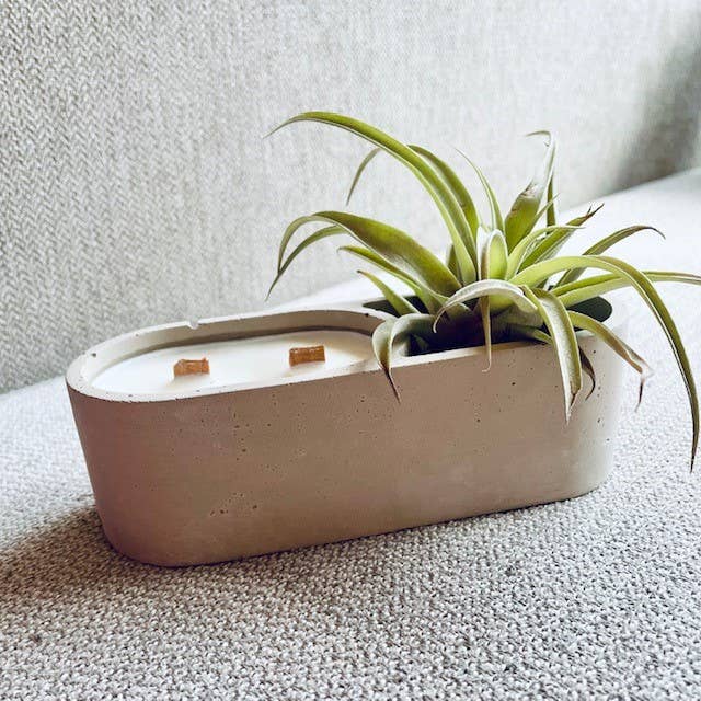 Air Plant Holder & Candle