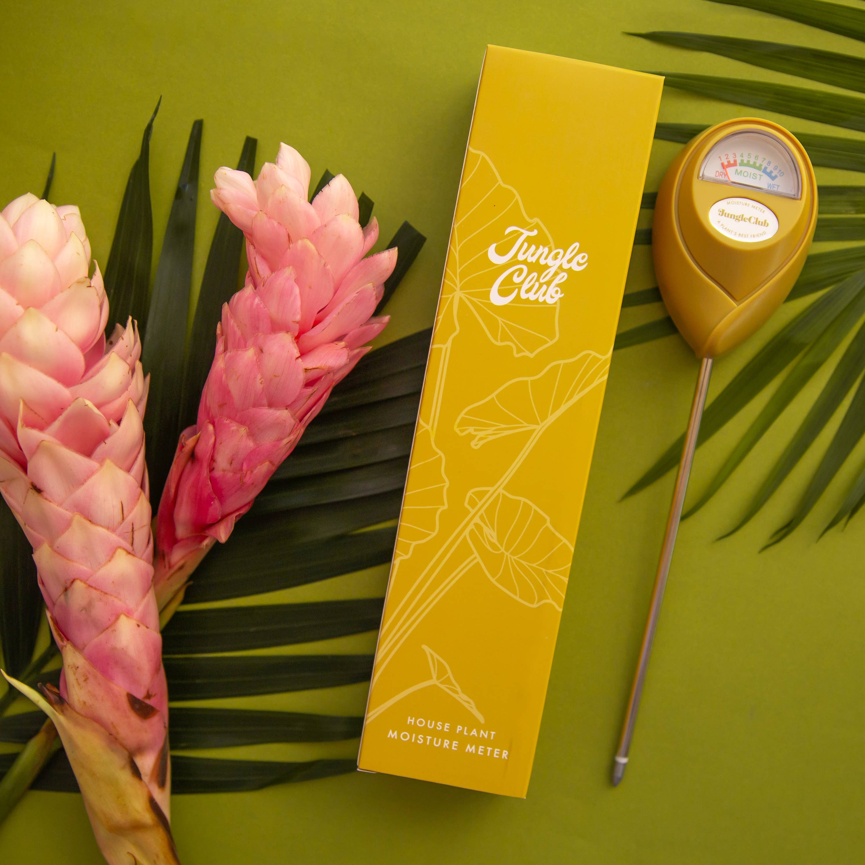 indoor plant moisture meter Moisture Meter