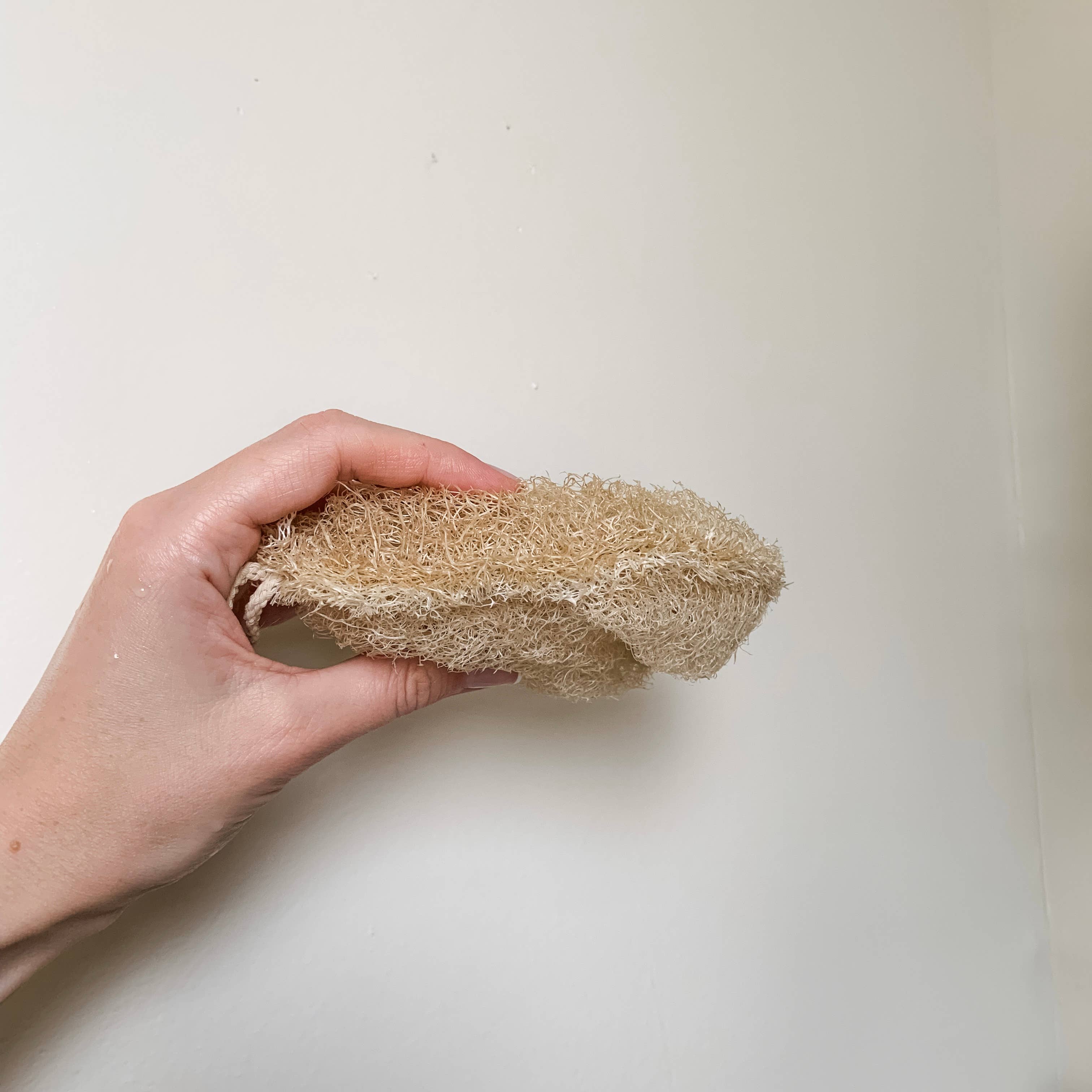 Double Layer Large Natural Loofah Sponge