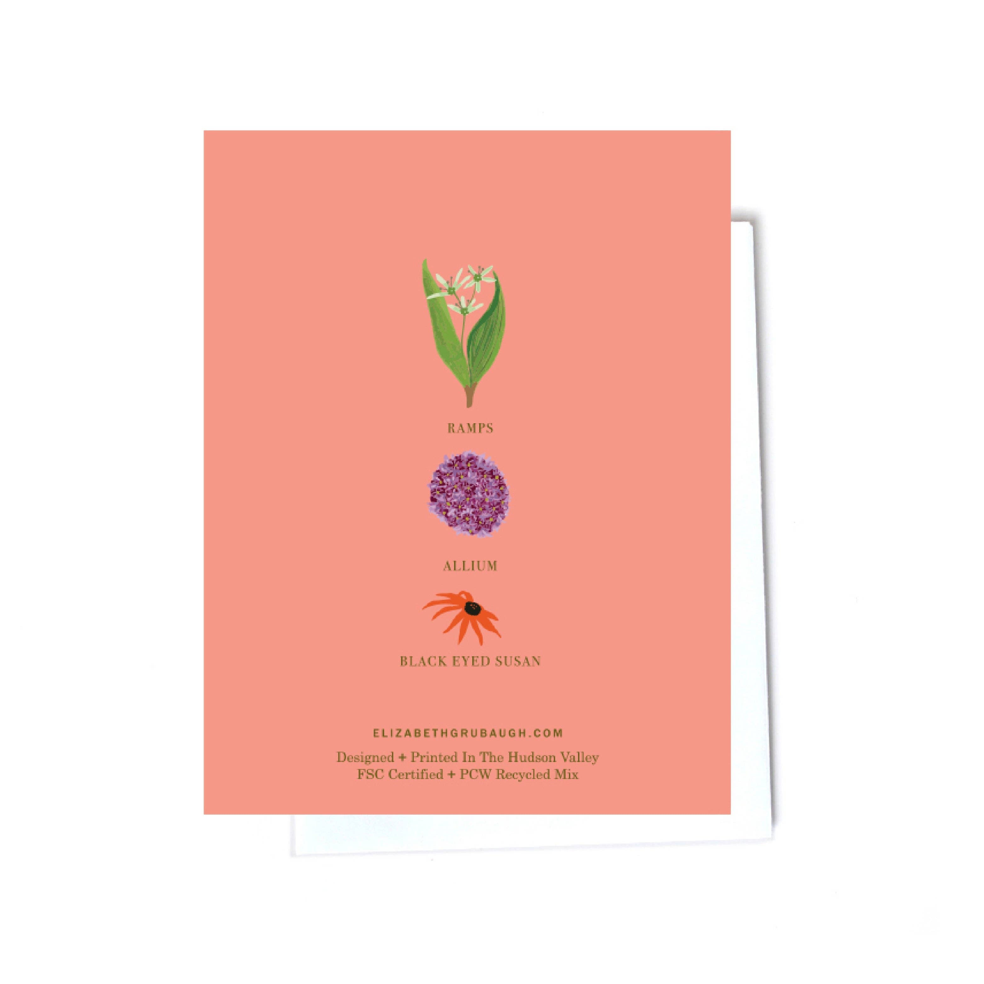Allium Flower Card