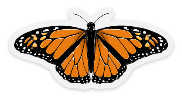 Clear Monarch Butterfly Sticker, 3x1.5 in.