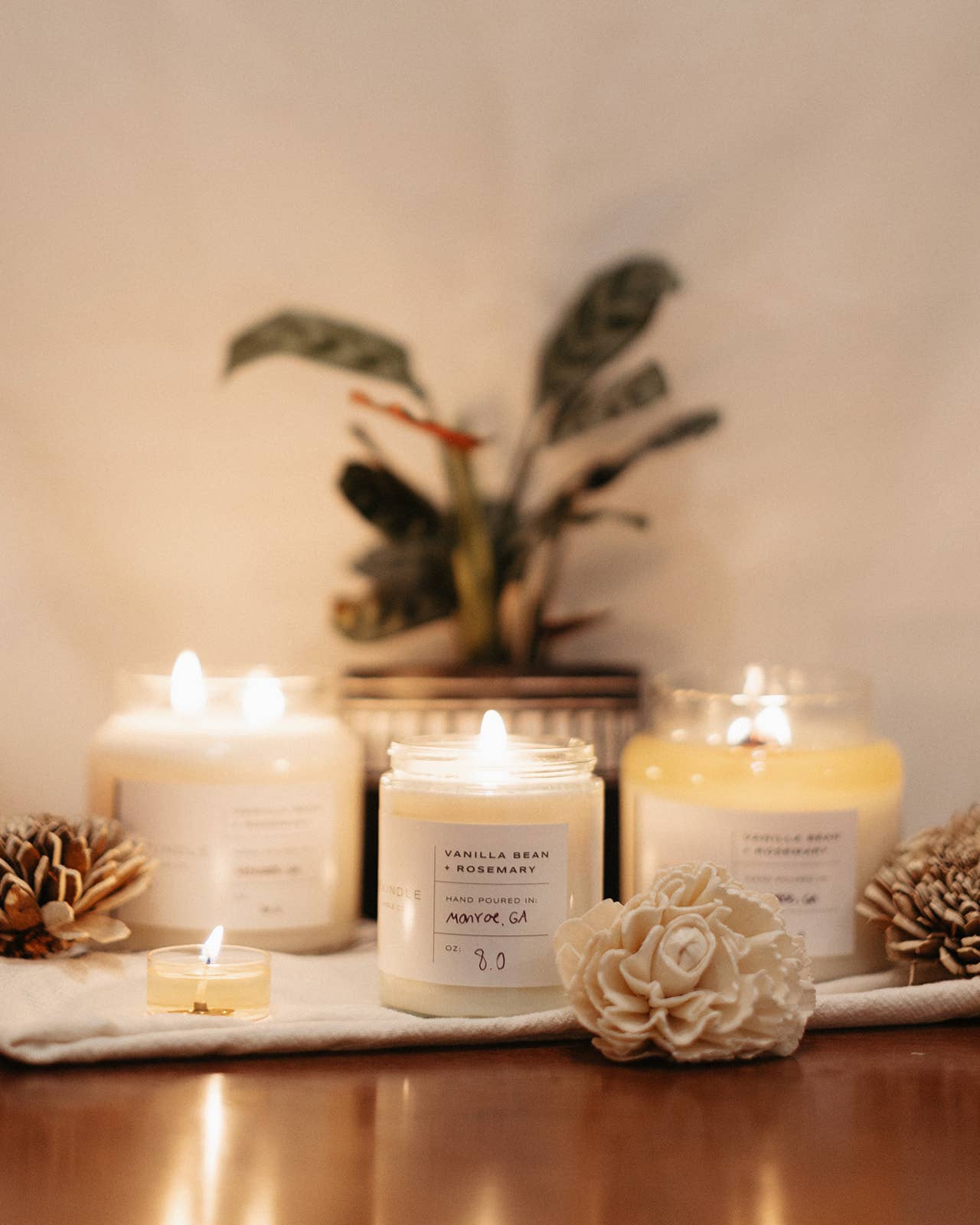 Vanilla Bean + Rosemary Cotton Wick Soy Candle