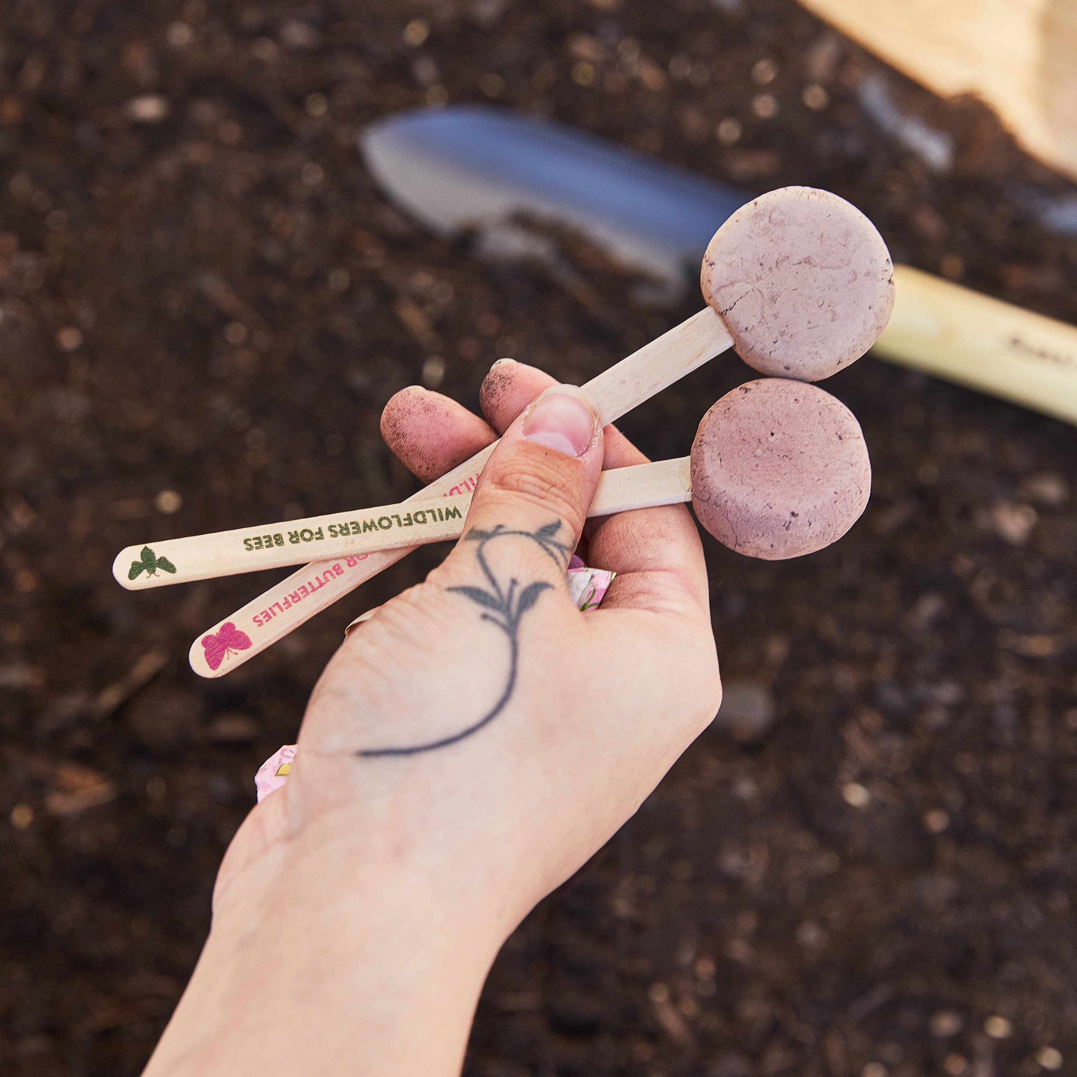 Pollinator Seed Pops