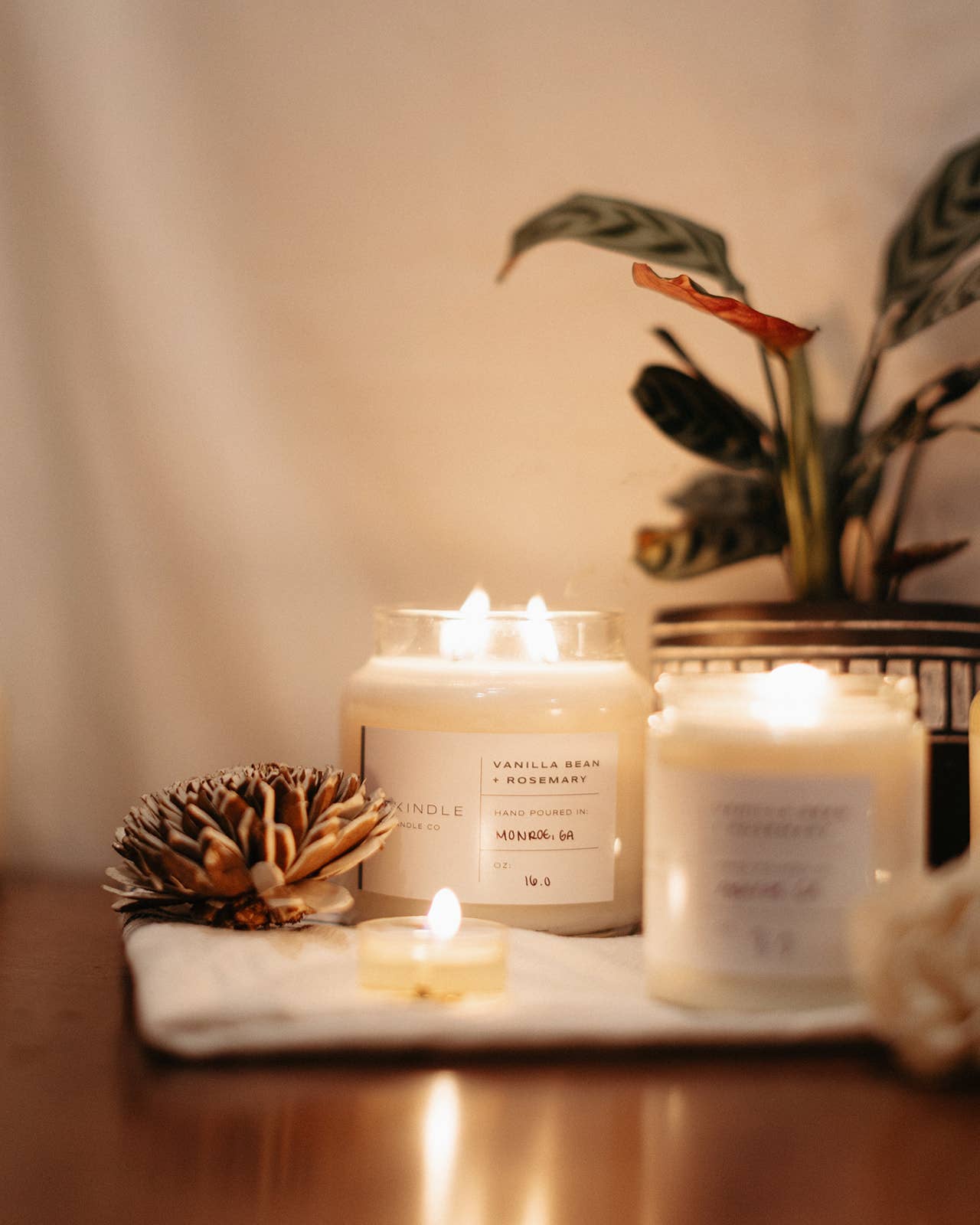 Vanilla Bean + Rosemary Cotton Wick Soy Candle