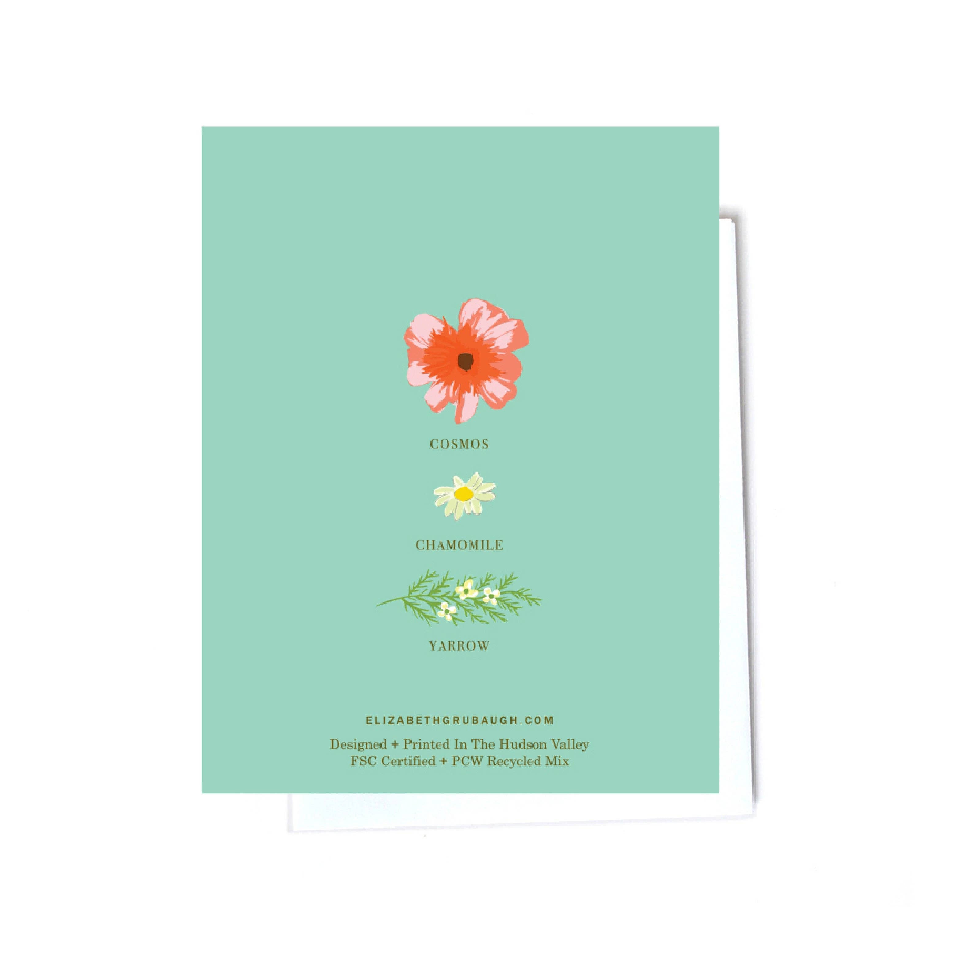 Cosmos & Yarrow Card