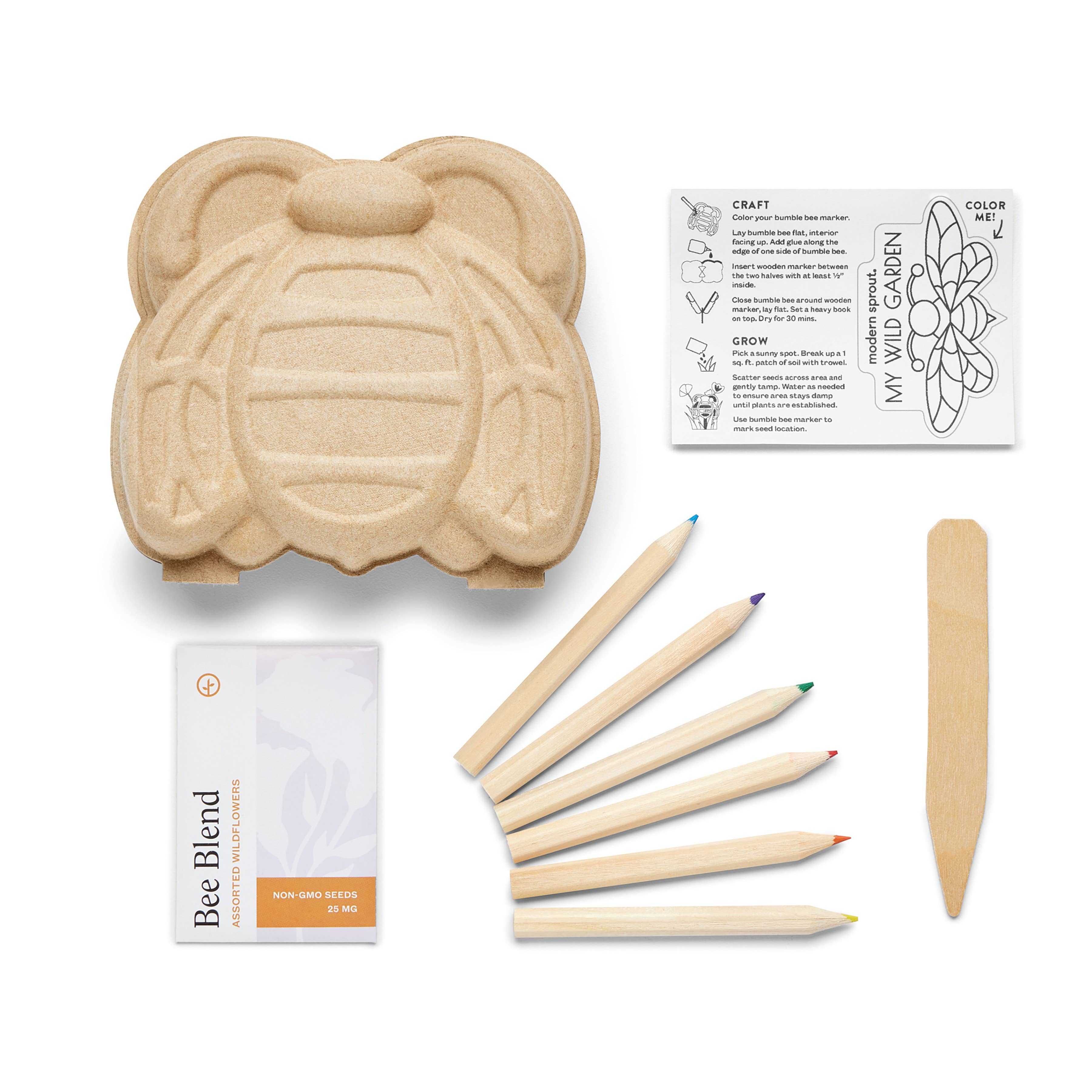 Curious Critters Activity Kit