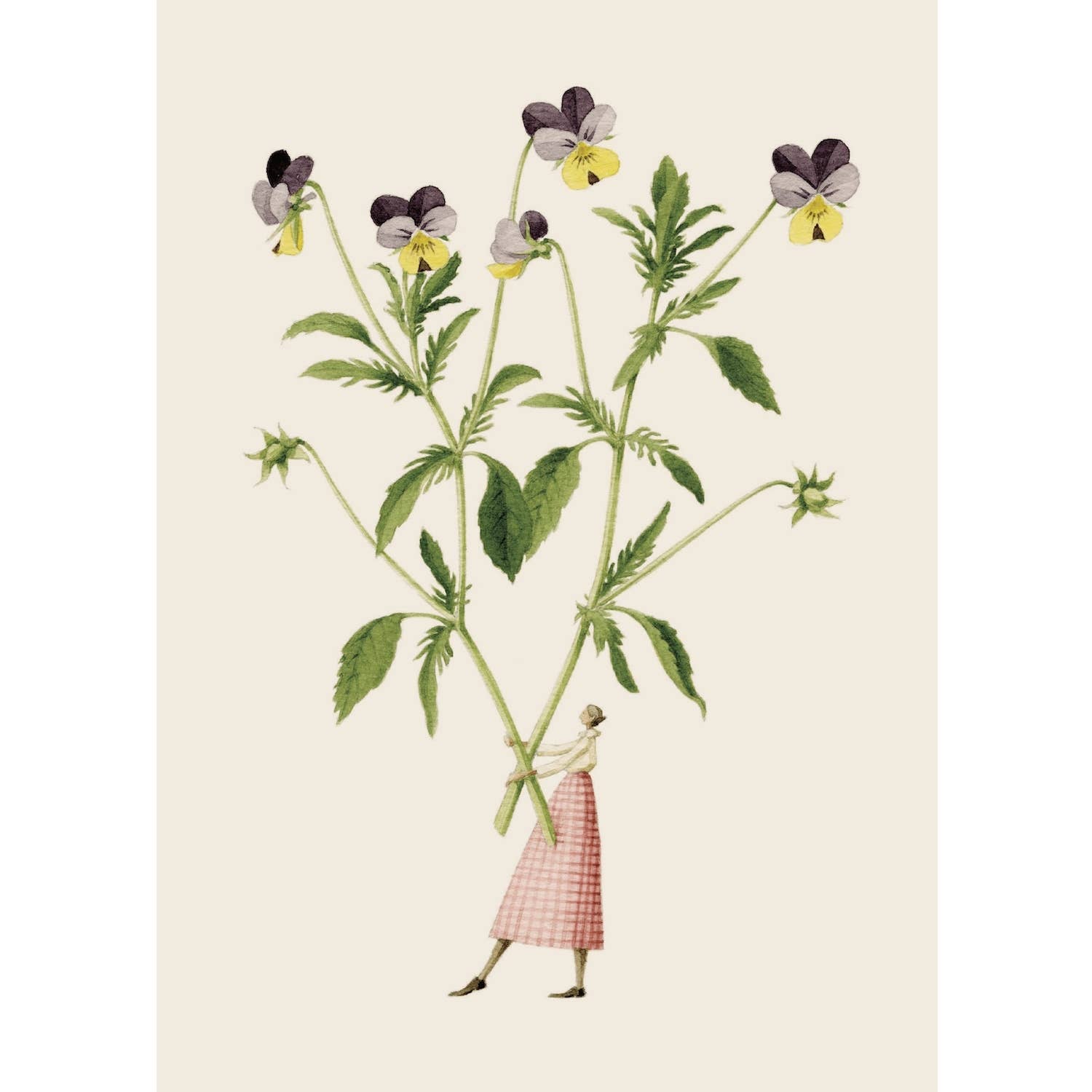 Viola Card | R&R Secret Flowers