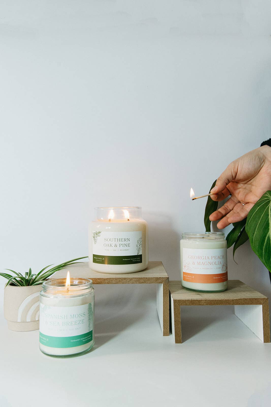 Southern Oak + Pine Cotton Wick Soy Candle