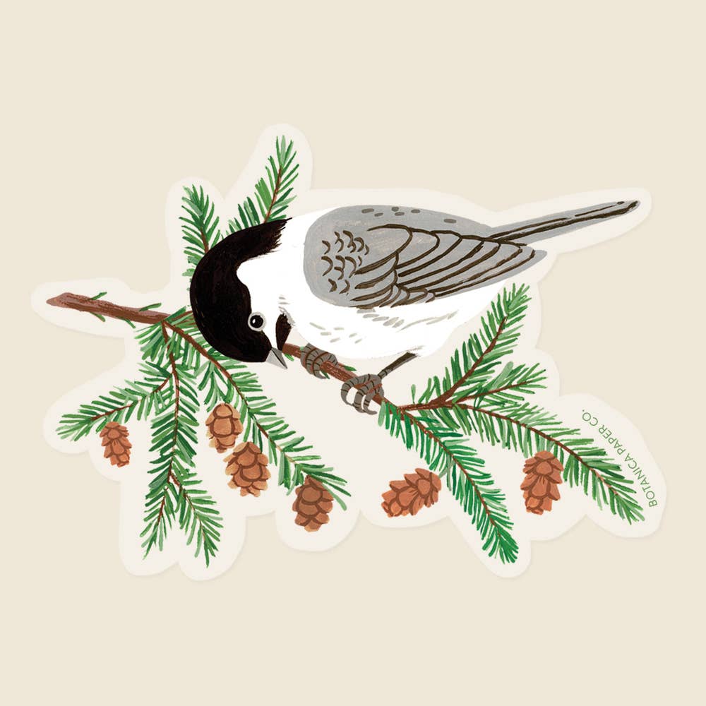 CHICKADEE | CLEAR VINYL STICKER