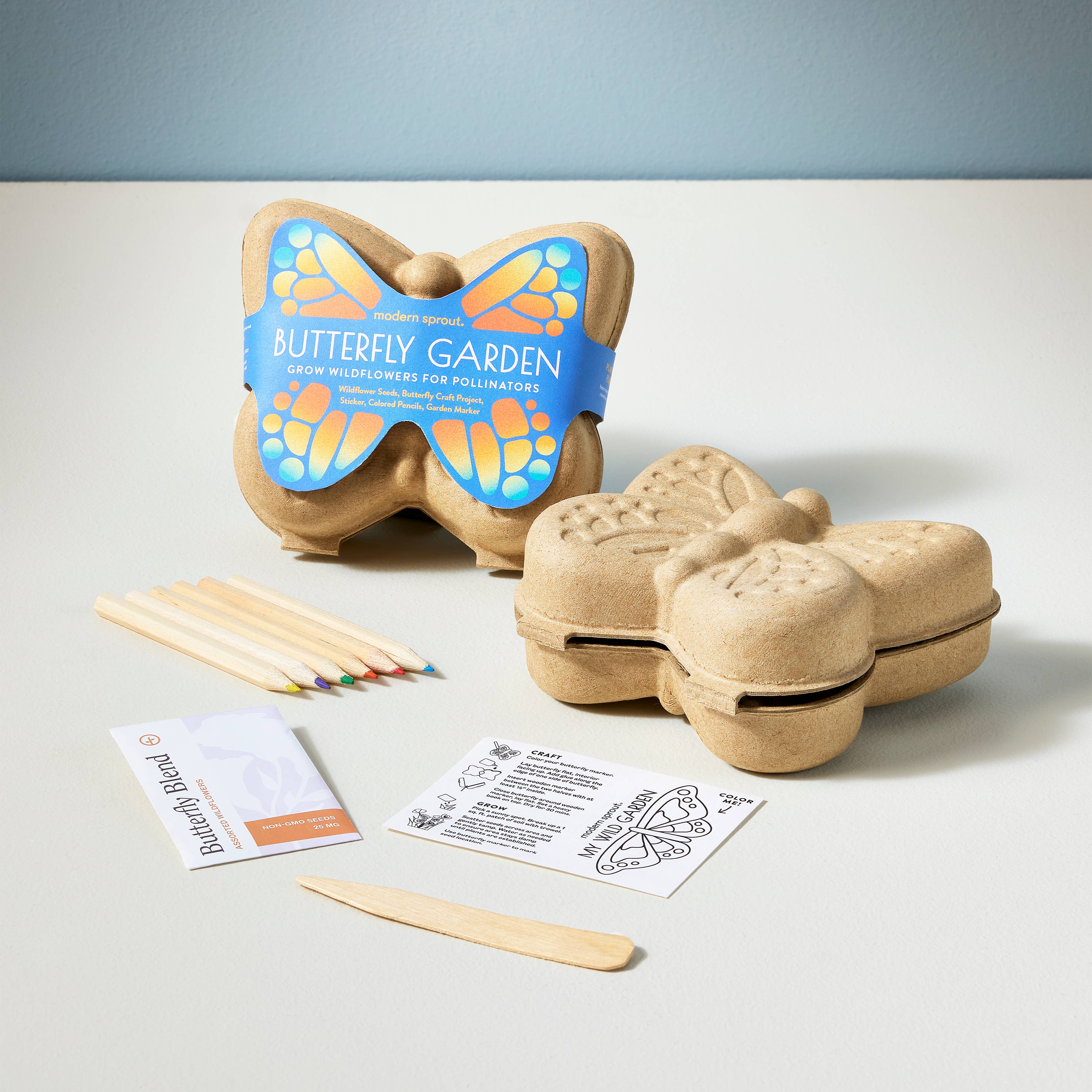 Curious Critters Activity Kit