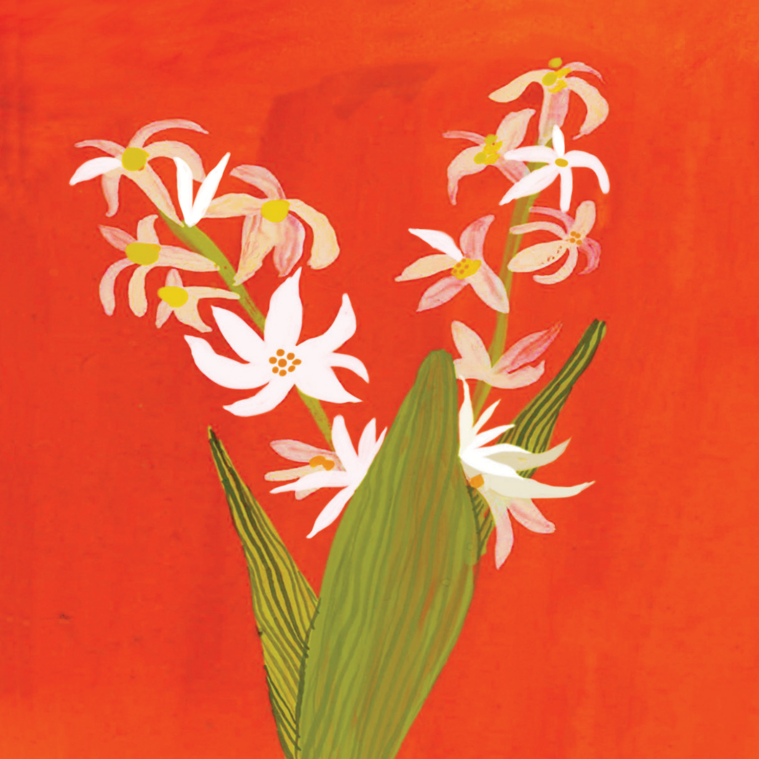 Thank You White Flower Greeting Card