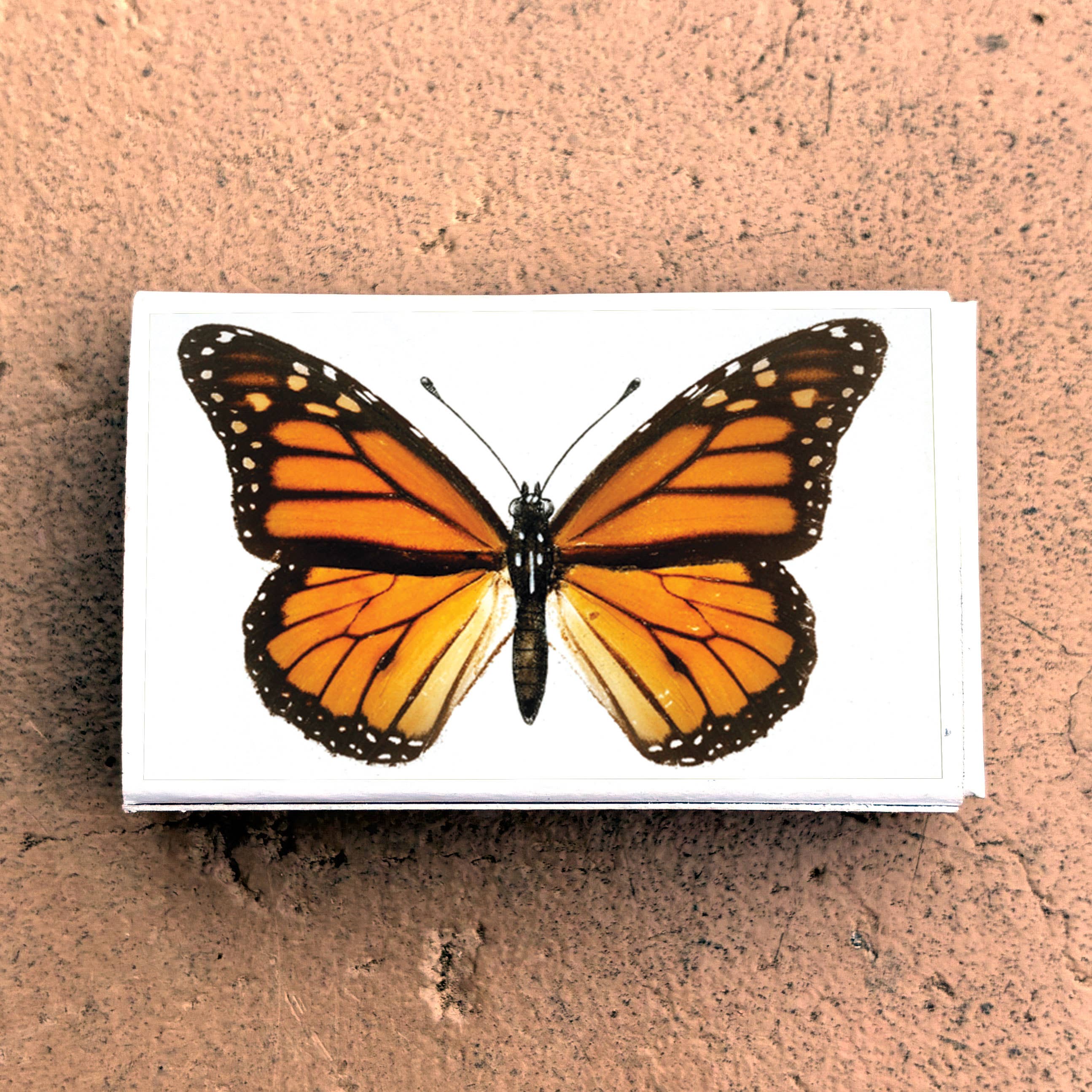 Matches • Monarch Butterfly•Home Decor for Candles & Incense