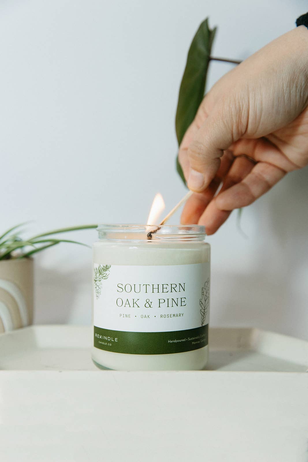 Southern Oak + Pine Cotton Wick Soy Candle