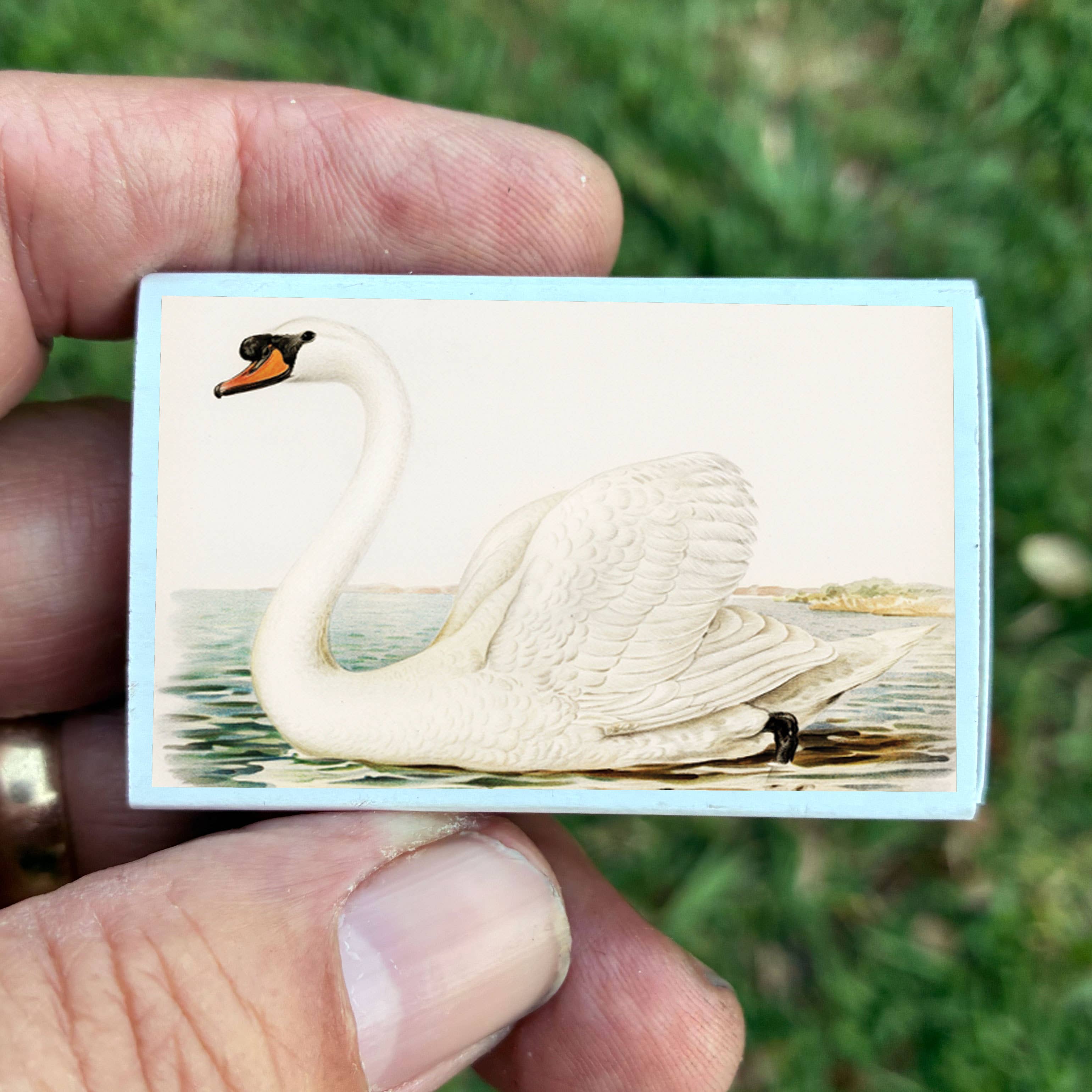 Matches • Swan Matchboxes • Home Decor for Candles & Incense