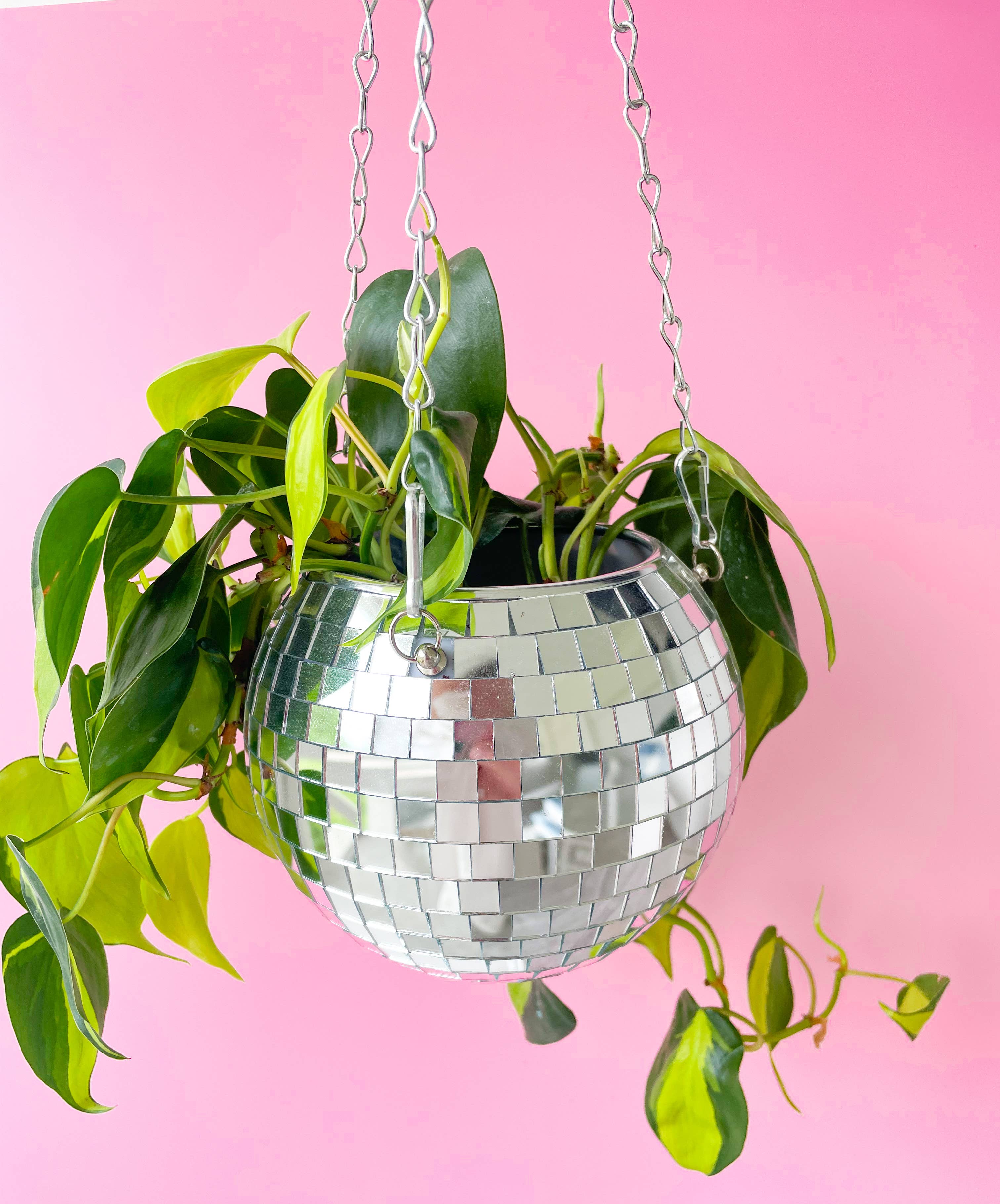disco plant pot Disco Ball Hanging Planter 6 Inches