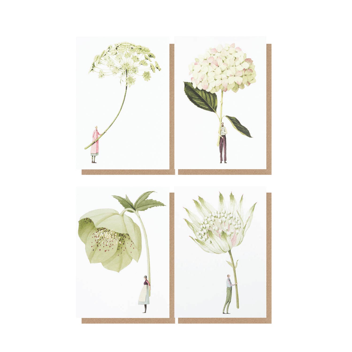 In Bloom - Notecards 3 "Green" Boxed Set
