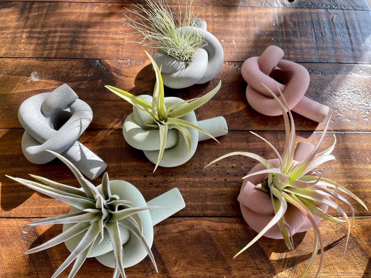 air plants with holders Knot Cement Candle/Air Plant Holder